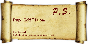 Pap Sólyom névjegykártya